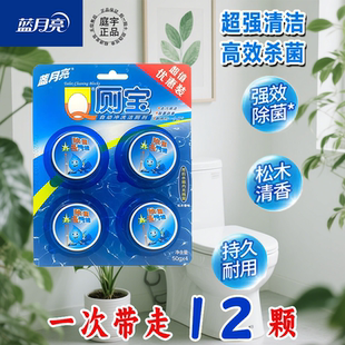 蓝月亮洁厕灵马桶清洁剂厕所洁厕宝块除垢去渍蓝泡泡除臭去异味
