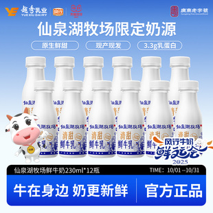 风行仙泉湖牧场鲜牛奶230mlPET瓶装 3.3g乳蛋白日期新鲜官方旗舰店