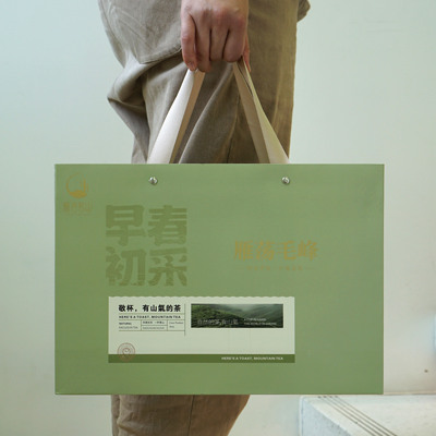 2025年雁荡毛峰茶叶高山云雾绿茶企业定制款伴手礼高端礼盒装茶叶