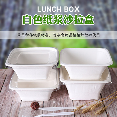 Packing Box Disposable Pulp Meal Box Square Light Salad Bowl Takeout Bento Box Rice Box Degradable Sugarcane Bowl