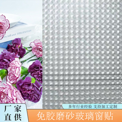Electrostatic adhesive free frosted glass film genuine 3D cat eye multiple transparent opaque glass stickers