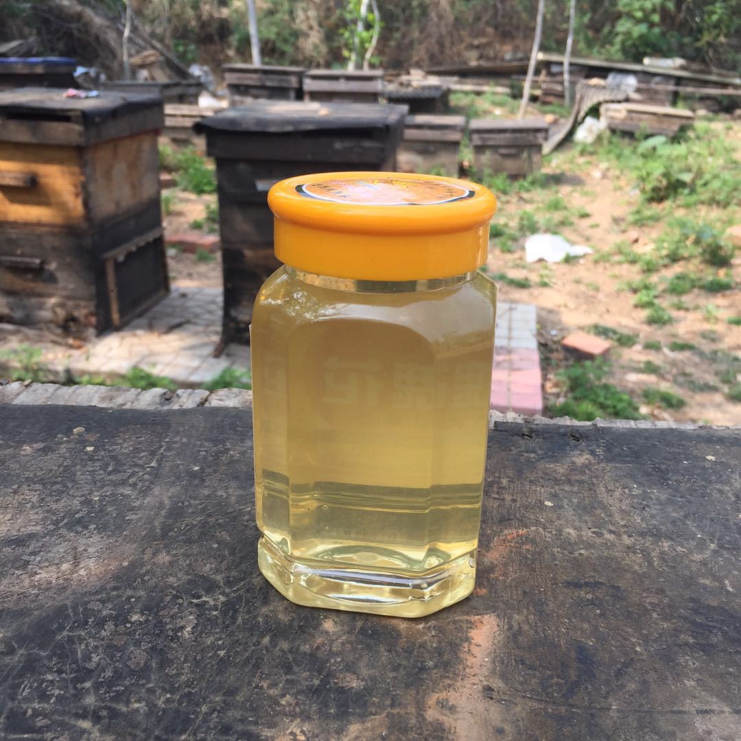 新洋槐蜂蜜 土特产农家深山500g蜂蜜 蜂农自产自销槐花蜜