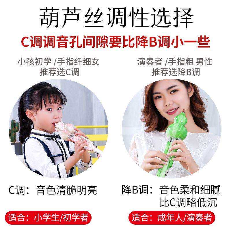 名森葫芦丝初学者青花瓷c调降b调成人小学生仿红木葫芦丝吹奏乐器属于什么档次？