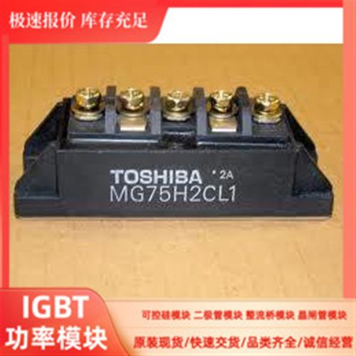 EVK71-050B EVK71-060 EVM31-050 MG75H2CL1 MG100H2CL1 现货