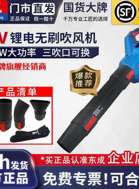 东成DCLB20141锂电吹风机20V无刷大功率工业级吹灰尘枪除尘器