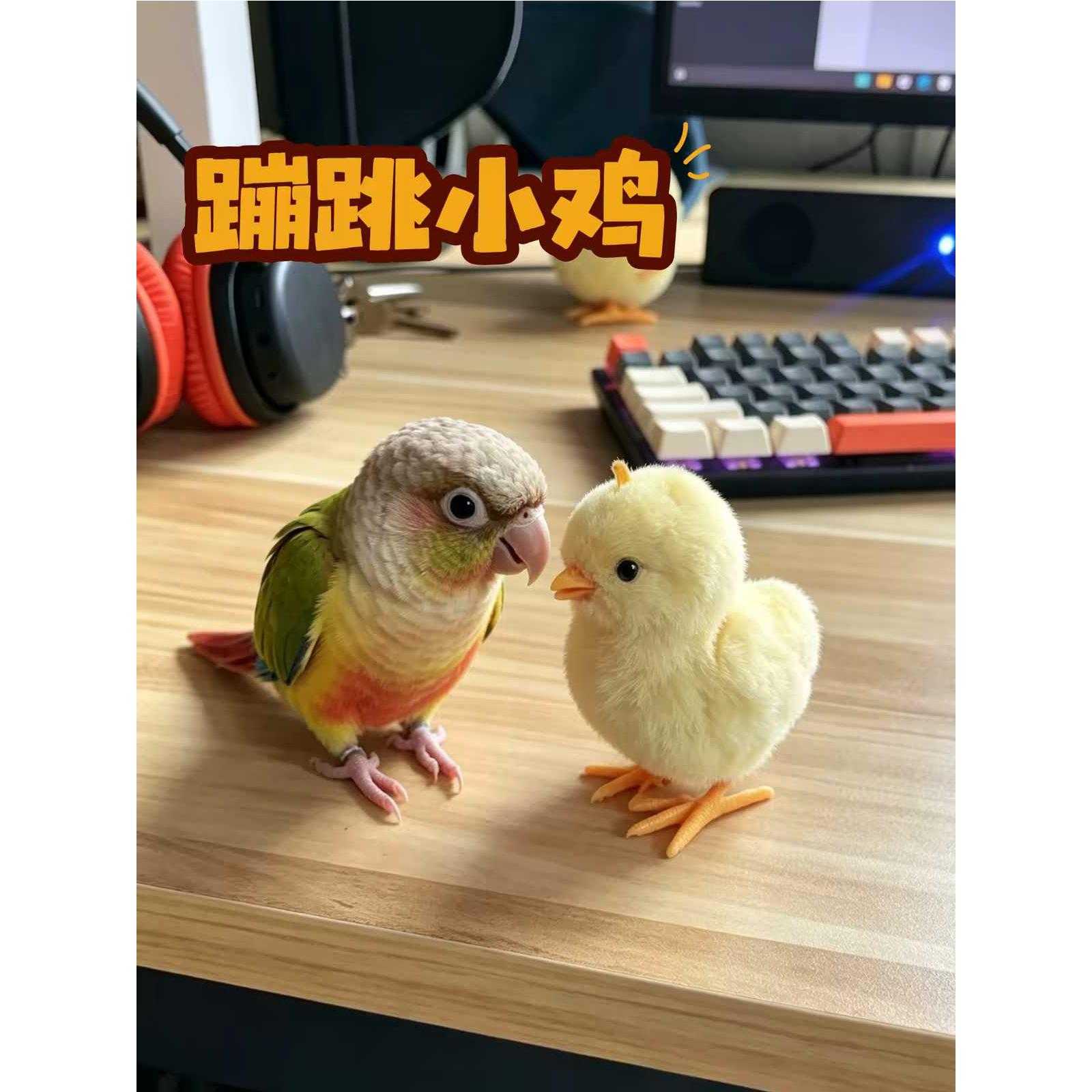 鹦鹉解闷小鸟玩具发条小黄鸡跳跳