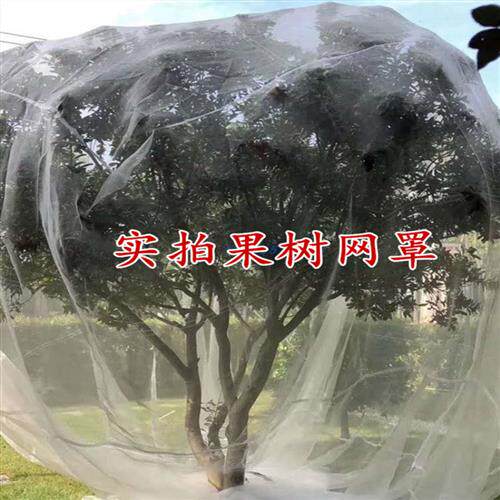 PE材质可客制防虫网罩 果树蔬菜绿植防鸟防蚊网