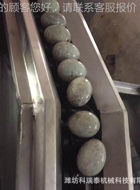 洗蛋干线 自动上蛋洗蛋机 卤前端生 产IWV线蛋风品加工蛋业设备