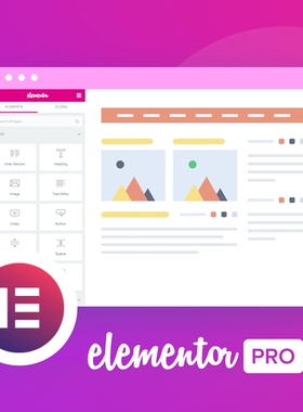 最新Elementor Pro下载,v3.32.3 GPL授权安全稳定可靠官方正版