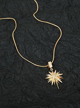 【GoldenOctagram】项链