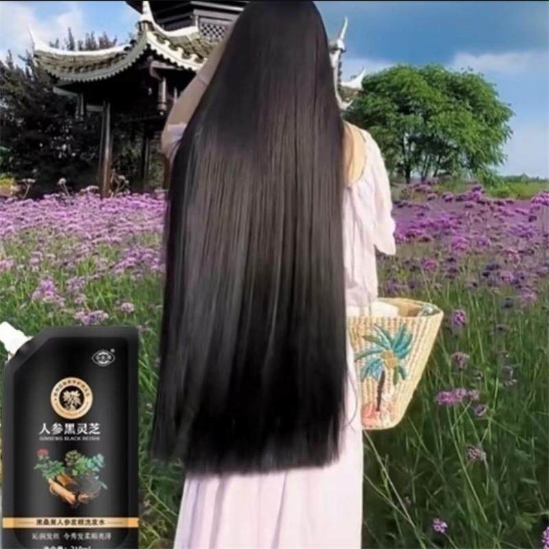 草本泽人参黑灵芝洗发水植物养发