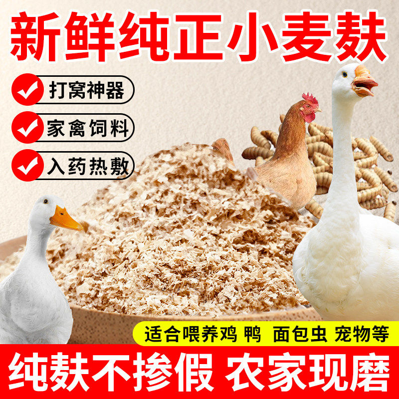 新鲜小麦麸皮饲料麸子夫子喂鸡鸭鹅猪面包虫钓鱼打窝料麦麸粉热敷