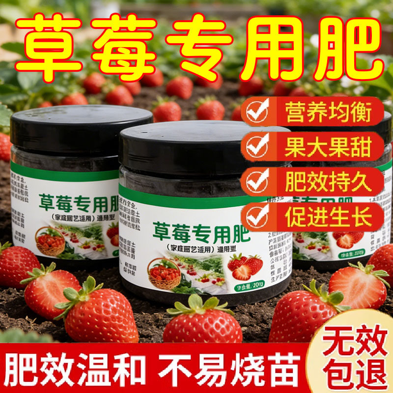 草莓肥料专用肥有机肥花卉绿植