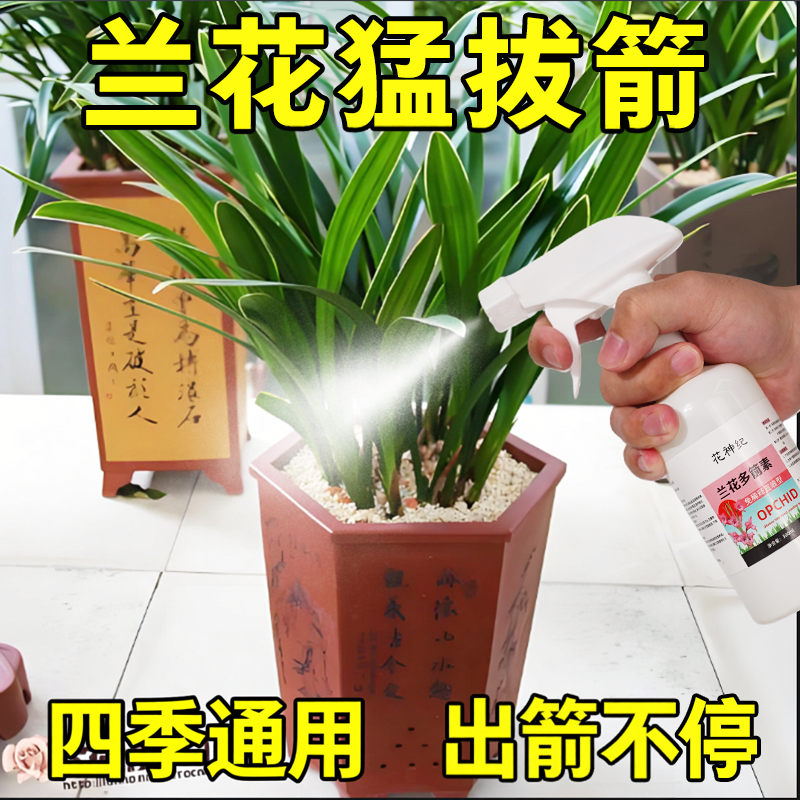 兰花多箭素爆芽素专用营养液