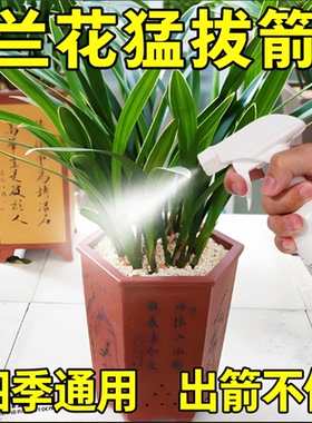 兰花多箭素爆芽素专用营养液蝴蝶兰多剑王兰灵王通用促开花肥料