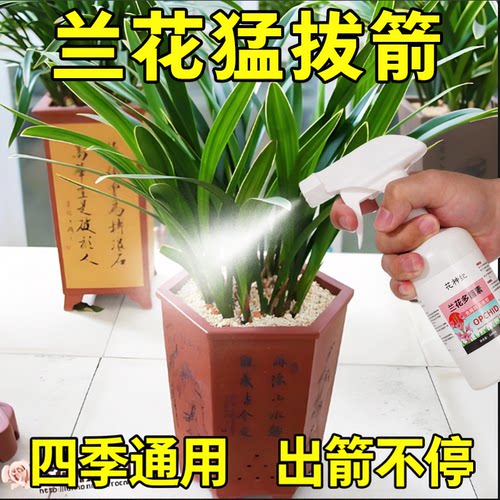 兰花多箭素爆芽素专用营养液