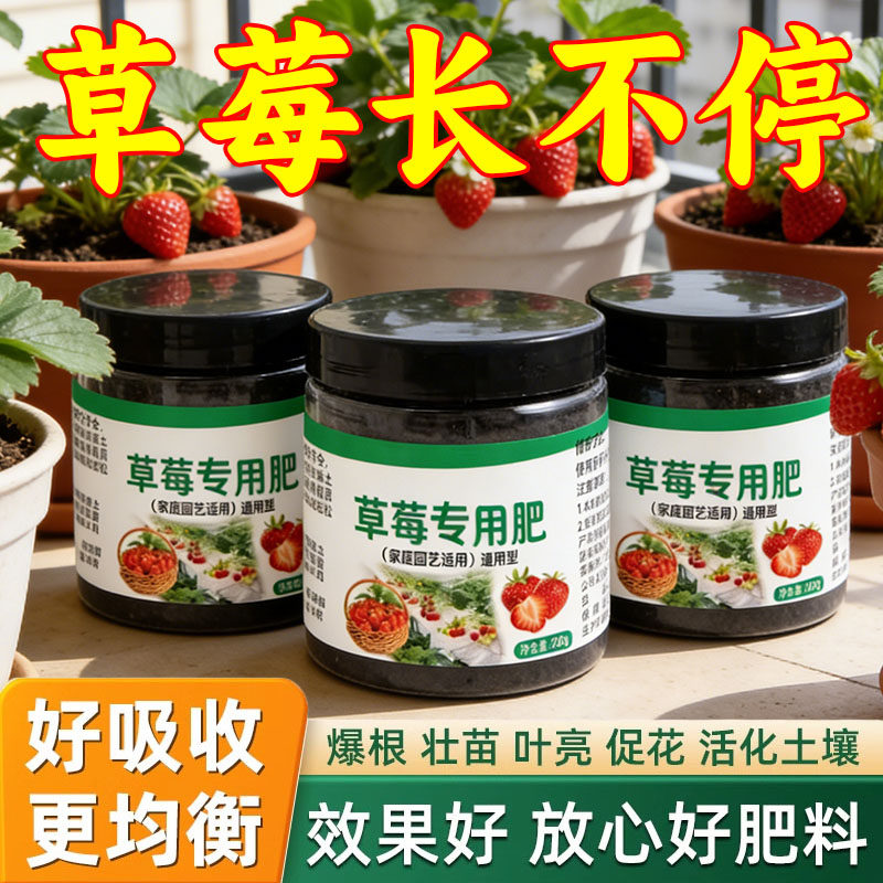 小苗疯长】草莓专用颗粒肥料免稀释家用盆栽新型肥料生长坐果肥