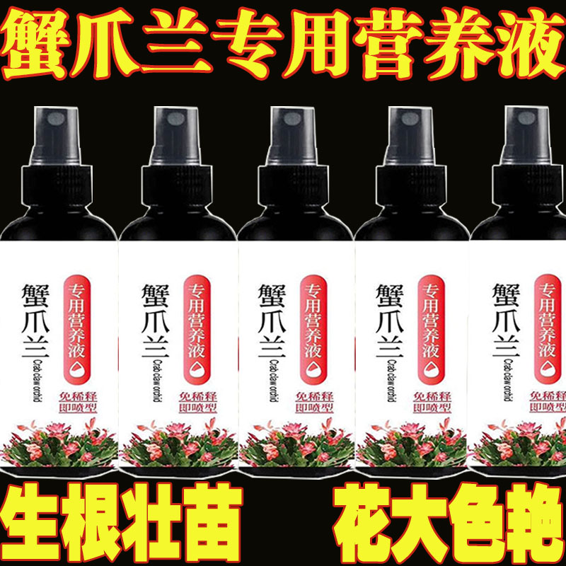 蟹爪兰肥料专用肥营养液