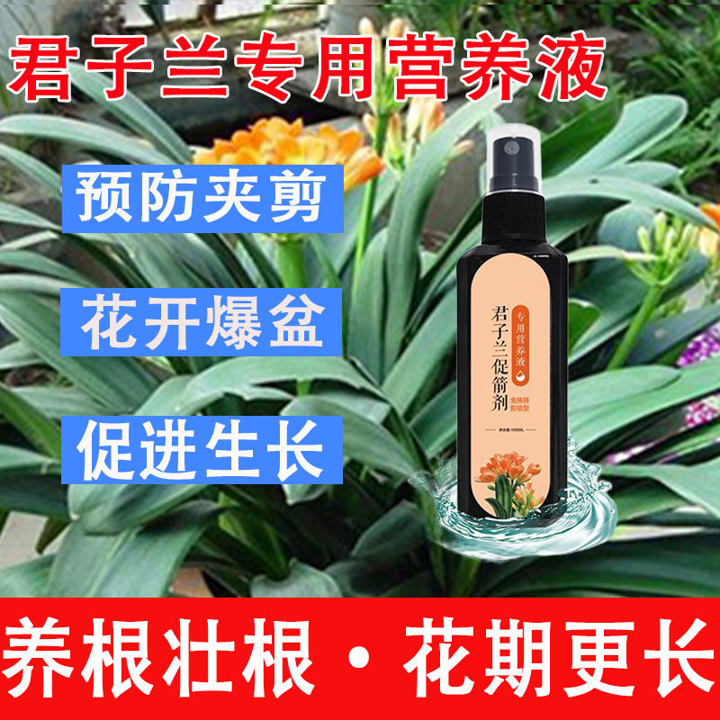 君子兰促箭剂专用肥催花肥治黄叶不开花植物专用营养液免稀释
