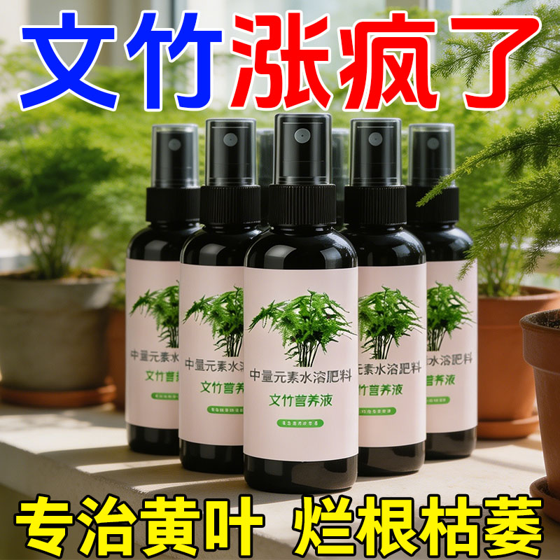 文竹营养液专用肥治叶子发黄