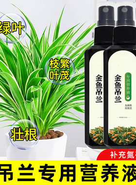 金边吊兰专用营养液花肥水培金鱼吊兰专用肥料黄叶焦尖液体水溶肥