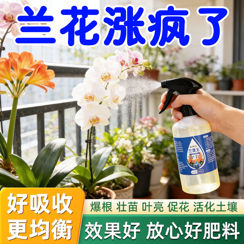 正品兰灵王兰花专用营养液