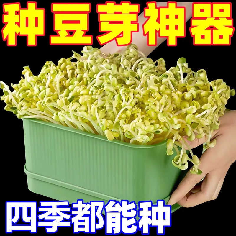 育苗盘种植发芽盆食品级家用豆芽