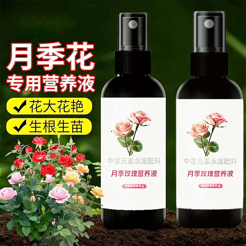 月季玫瑰营养液防黄叶落叶