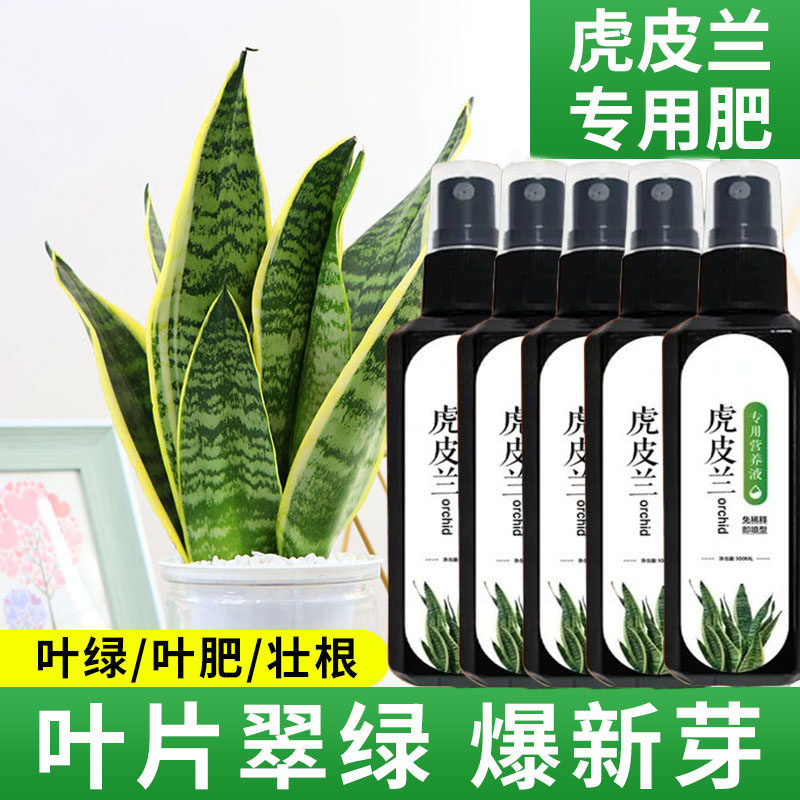 【爆芽素】虎皮兰营养液专用肥扦插生根发芽促生长盆栽绿植叶面肥