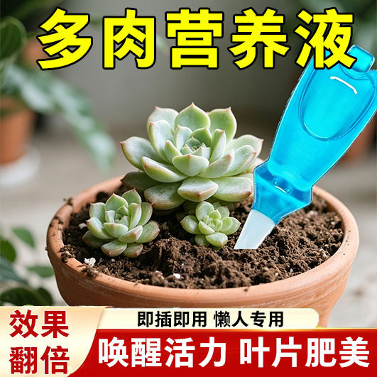 多肉肥料专用营养液增色增肥爆芽