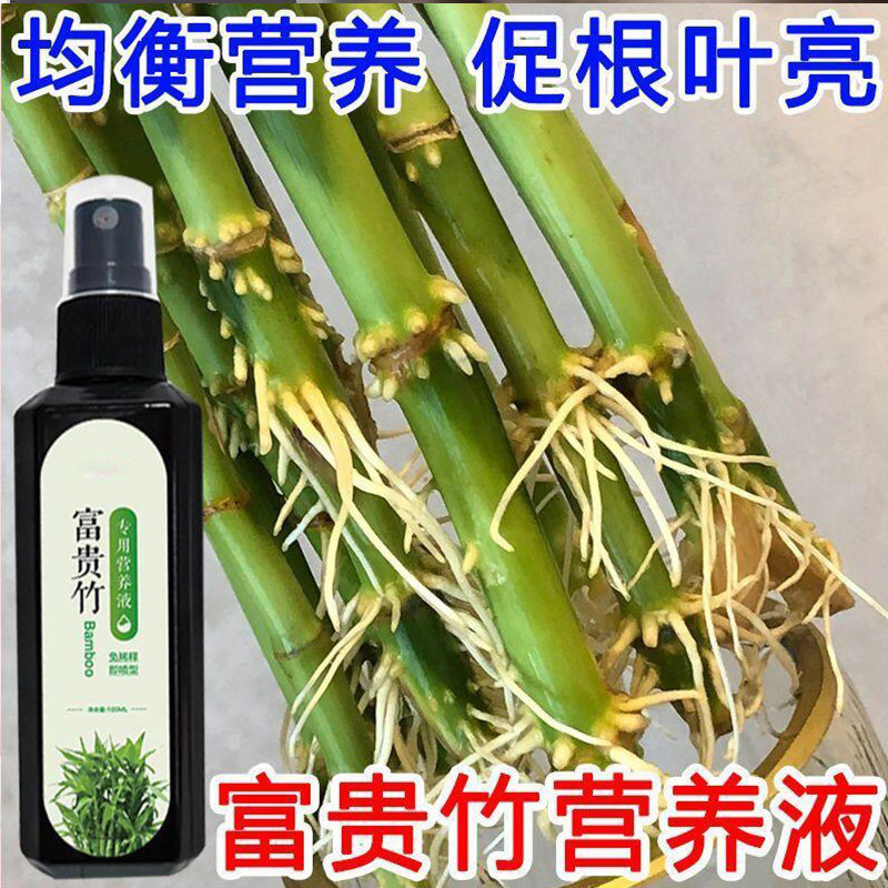 富贵竹营养液黄叶急救专用肥家用盆栽养花肥水培土培通用型液体肥