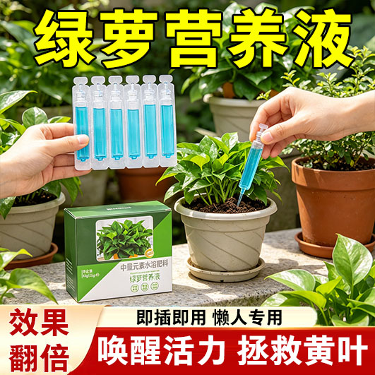 绿萝营养液肥料专用肥植物盆栽