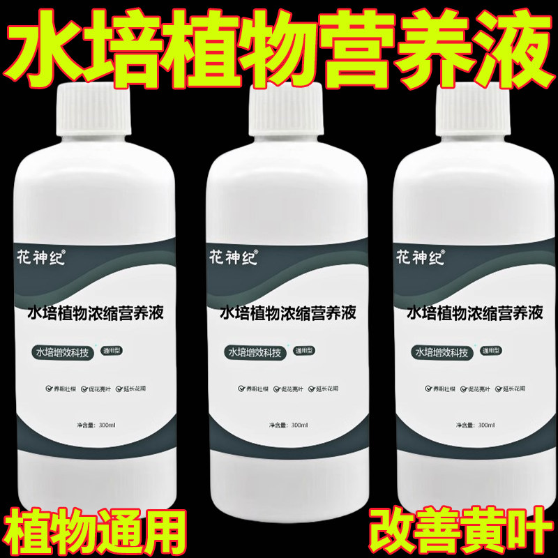 强效水培植物专用营养液观音竹富贵竹郁金香铜钱草通用型清仓蓬松