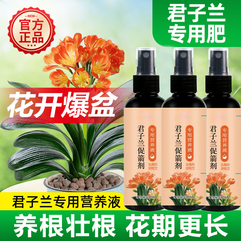 君子兰夹箭灵促箭剂快速拔剑剂通用型夹剑液促开花专用肥营养液