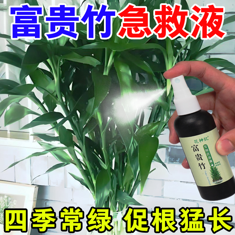 富贵竹营养液黄叶叶子发黄枯瘦烂根免稀释水培去黄竹子黄叶液体肥
