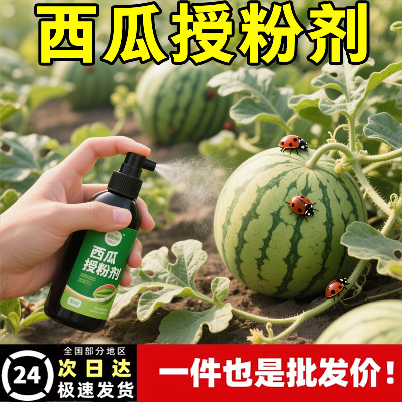西瓜授粉专用药点花药免沾花授粉