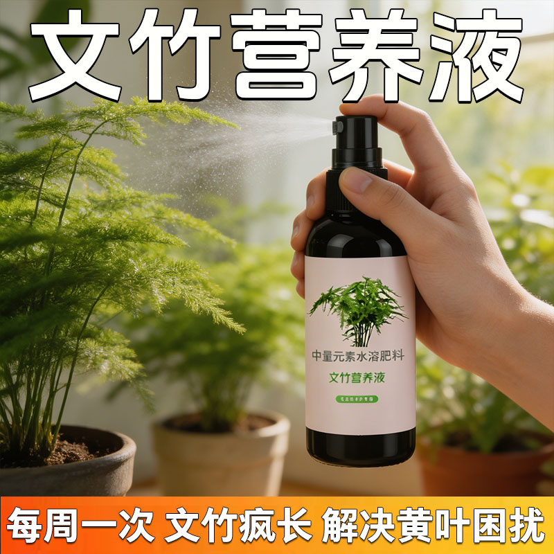 免稀释文竹专用营养液肥料家用
