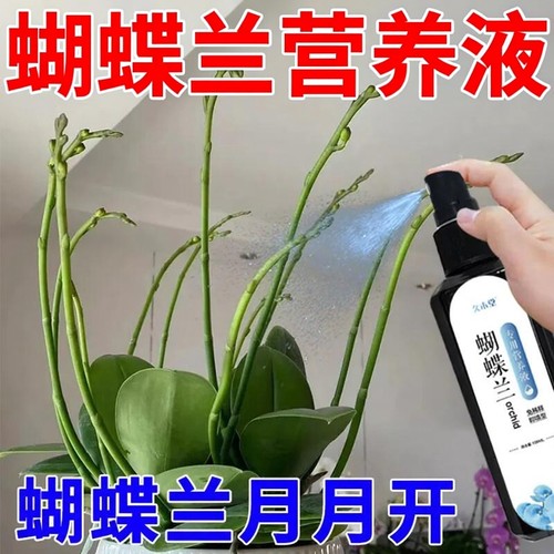蝴蝶兰专用营养液促花剑开花肥