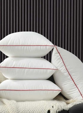 抱枕芯内胆沙发枕芯靠垫芯45x45 40 60抱枕心50x50靠背内芯靠枕芯