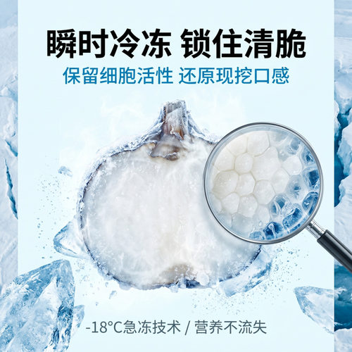 煲汤炒菜商用大包装冷冻蔬菜 速冻锁鲜食用农产品去皮马蹄IQF速冻