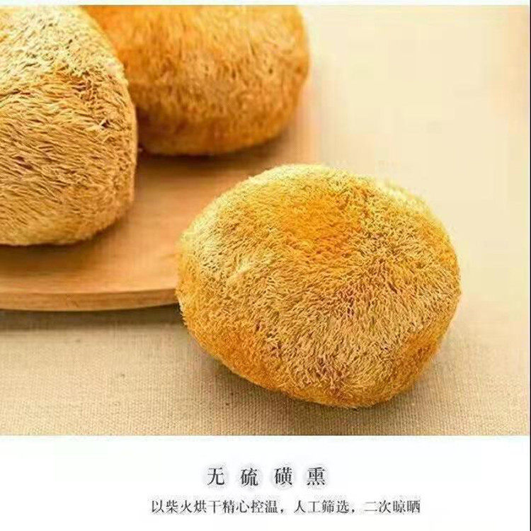 【】厂家直销古田特产猴头菇干货养胃煲汤炒菜菌菇