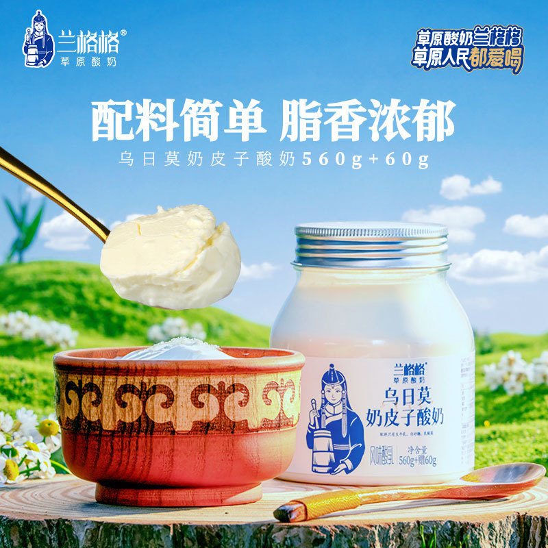 兰格格草原酸奶620g*2桶奶皮子低温酸奶整箱