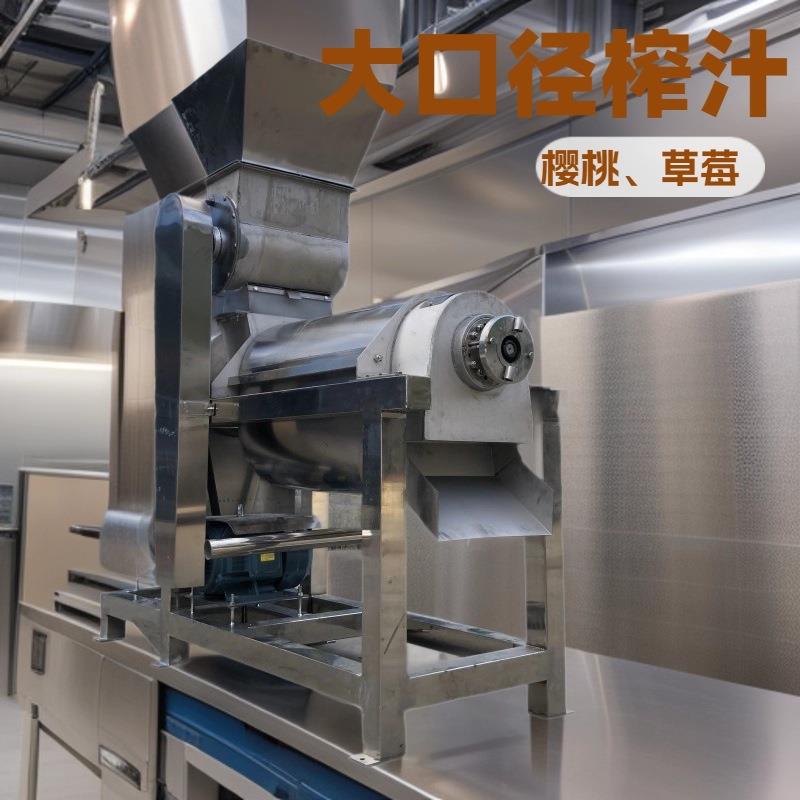 菠萝粉碎榨汁机 高效率快速原汁渣浆分离机黄豆玉米磨浆机