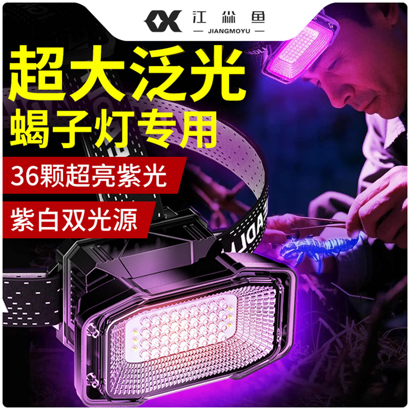 江尛鱼蝎子灯专用头灯超大泛光