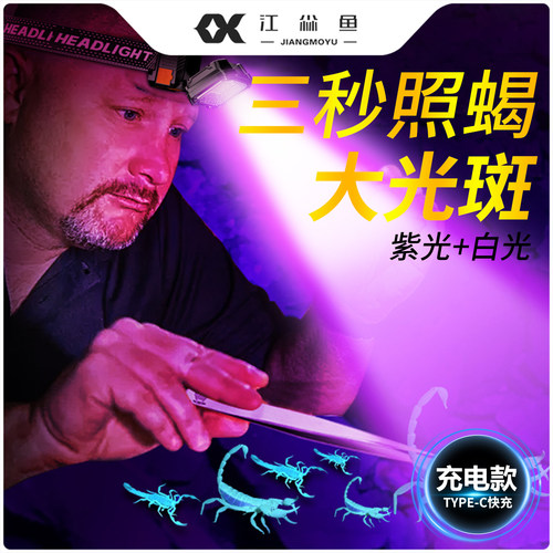 江尛鱼强光照蝎子灯2025新款