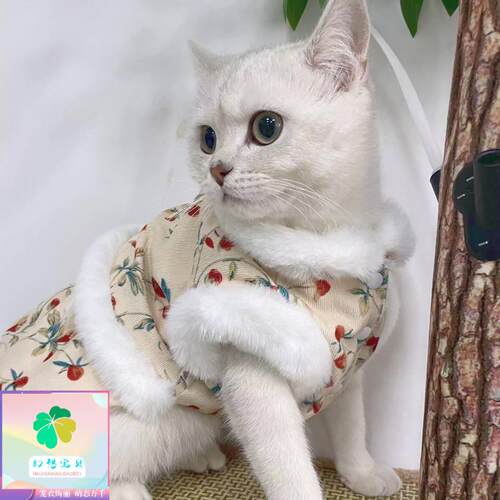 幻想宝贝宠物衣服秋冬新款加绒