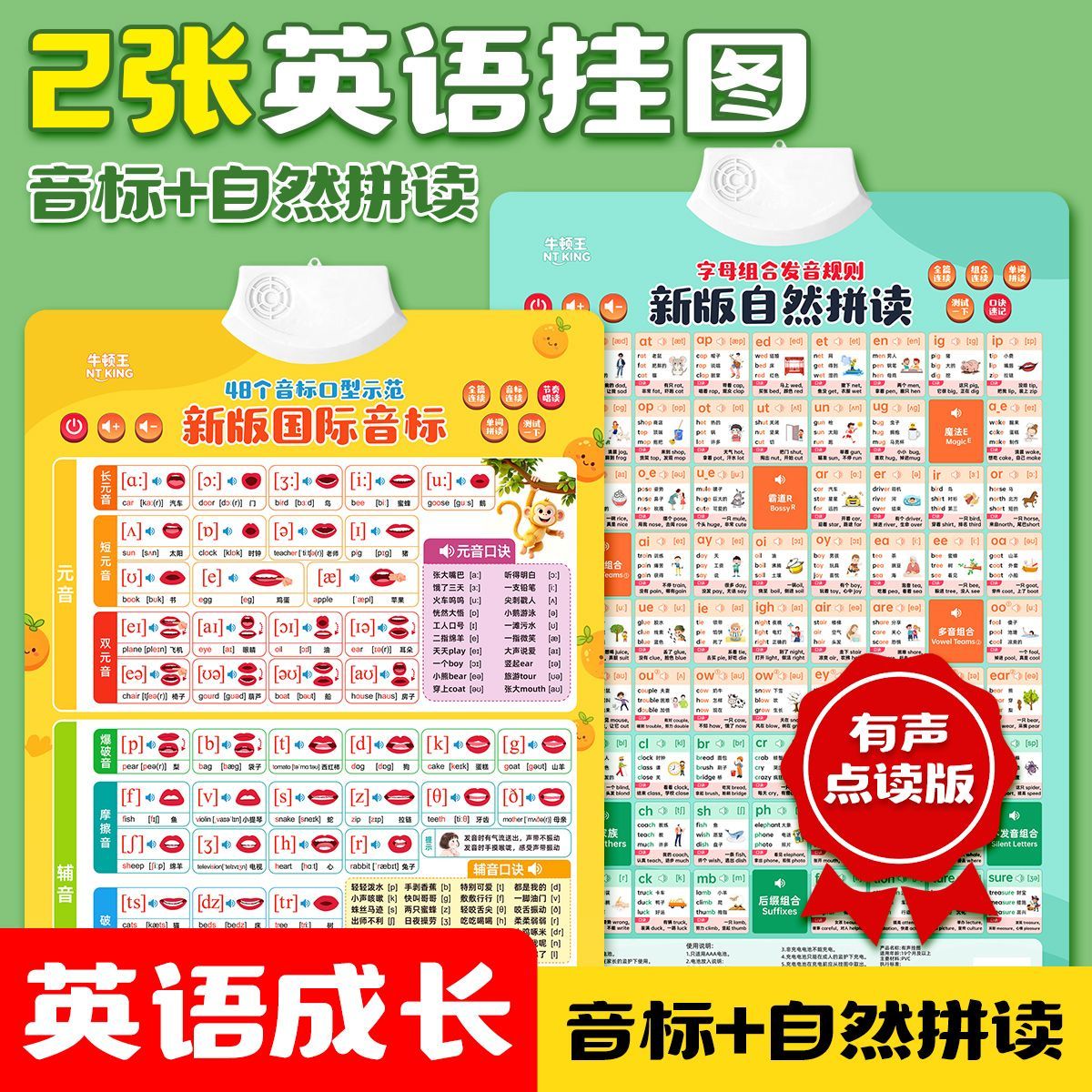 小学生必备英语音标挂图英语自然拼读音标有声挂图自然拼读挂图