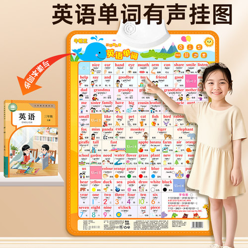 音标有声挂图48个国际英文