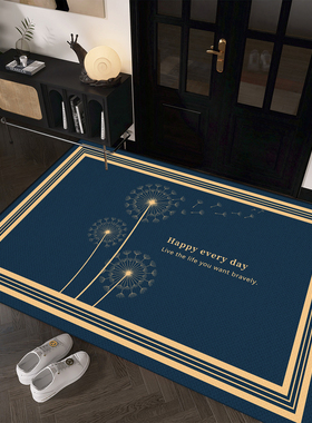 2025新款蓝色轻奢高级感进门地垫脚垫入户门地毯防滑脚垫蹭脚垫子