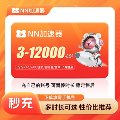 NN雷加速器3-12000小时长可暂停黑神话悟空游戏加速器PUBG非uu